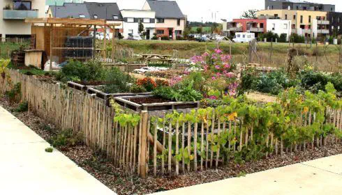 Bourse aux plante de Chavagne en Jardins